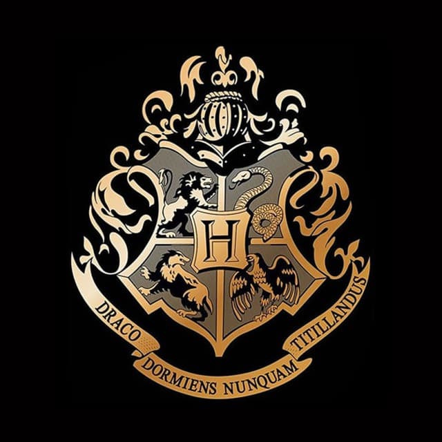 Wizardshop cc
